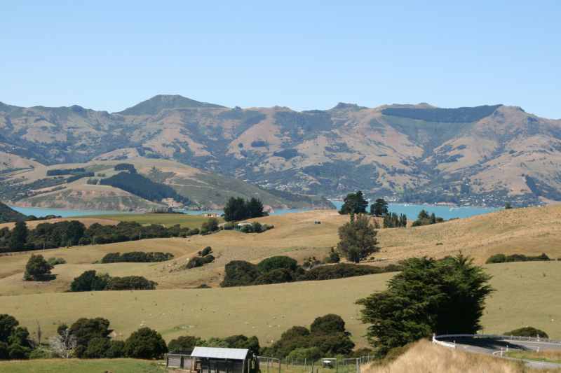 Nieuw-Zeeland 2011 - 2092